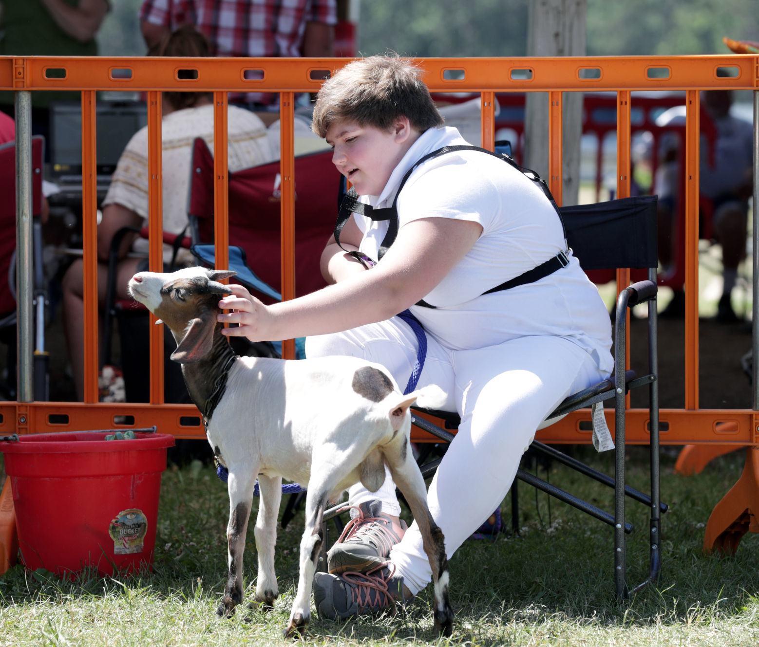 Sauk County Fair